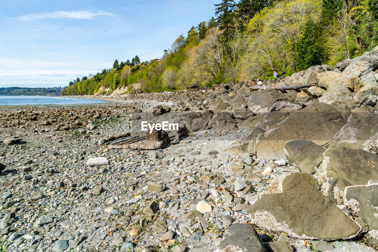 land, rock, water, sea, beach, coast, nature, sky, shore, scenics - nature, beauty in nature, cliff, environment, landscape, terrain, tranquility, travel destinations, no people, travel, plant, coastline, geology, tree, day, tranquil scene, sand, outdoors, cloud, tourism, non-urban scene, sunlight, body of water, summer, ocean, animal wildlife, trip, holiday, idyllic, vacation