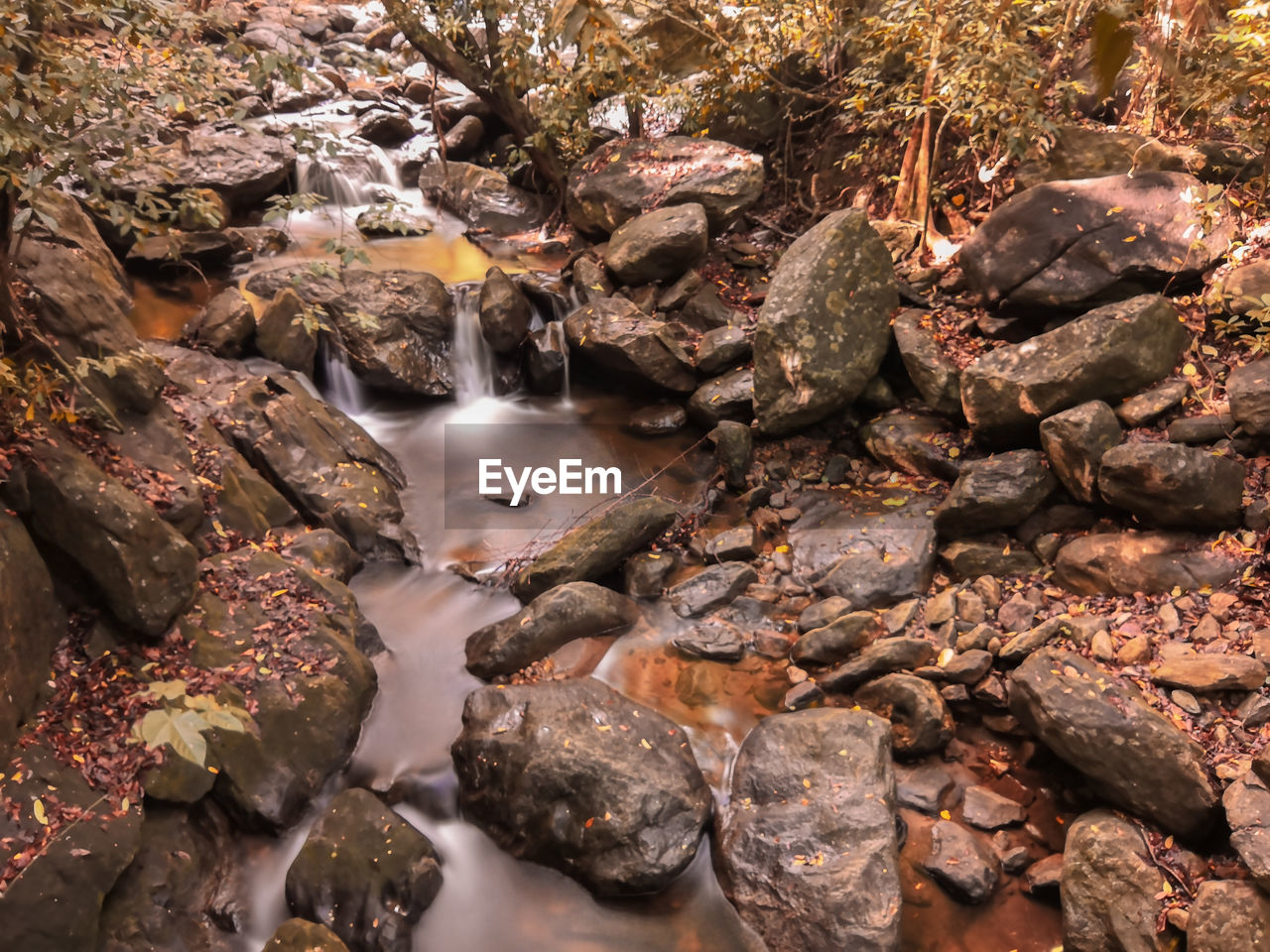 River flowing through rocks in forest