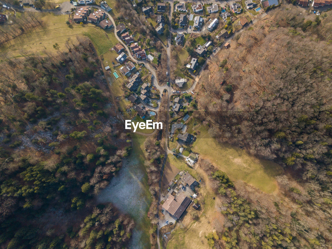 Aerial view of buildings and trees