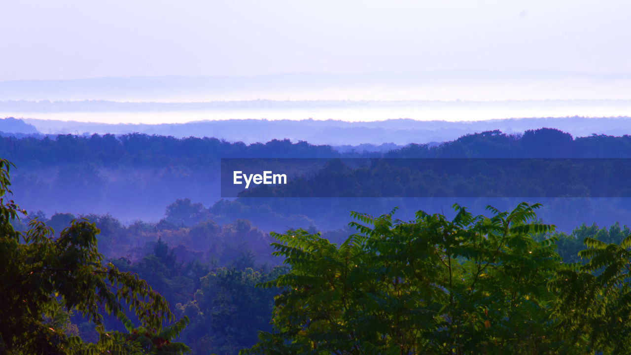 beauty in nature, tree, sky, tranquil scene, scenics - nature, tranquility, plant, fog, growth, no people, non-urban scene, nature, idyllic, mountain, cloud - sky, day, green color, environment, outdoors, hazy