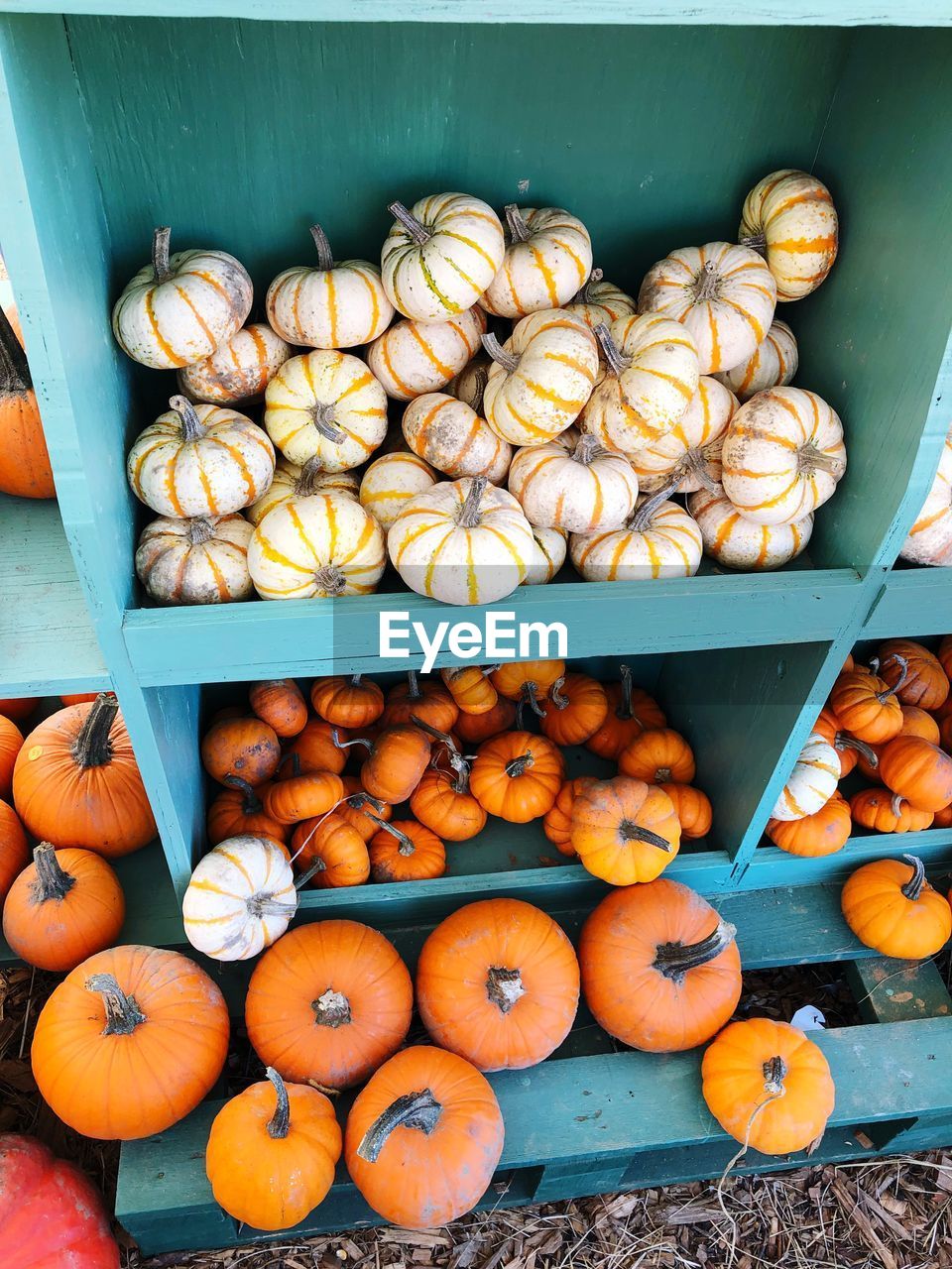 High angle view of pumpkins in crate at market stall