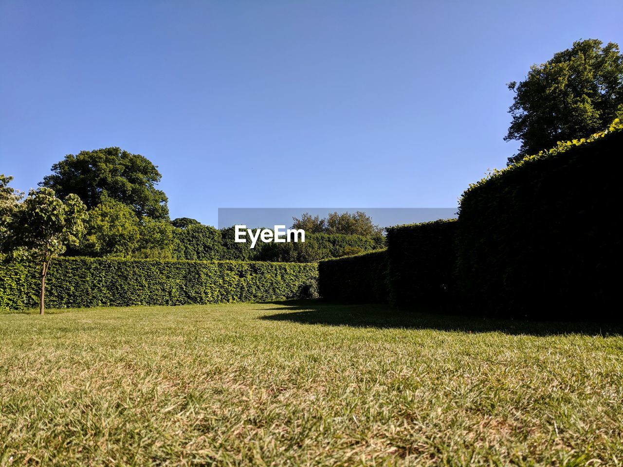 SCENIC VIEW OF FIELD AGAINST CLEAR SKY