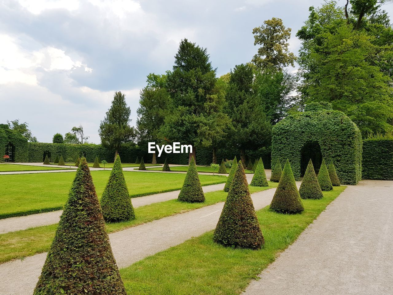 TREES AND PLANTS IN GARDEN