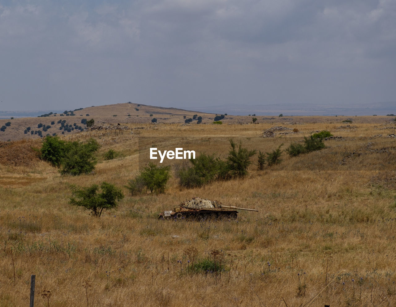 SCENIC VIEW OF LAND AND TREES AGAINST SKY