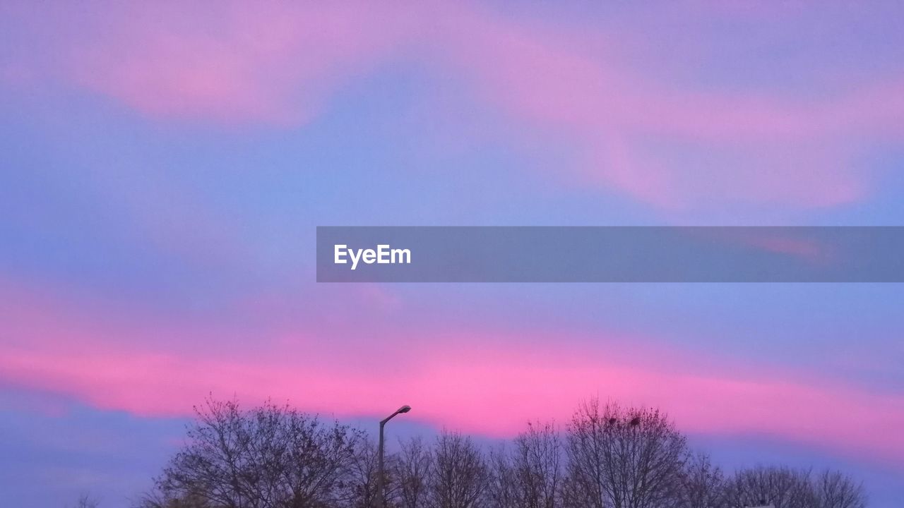 SILHOUETTE TREES AGAINST SKY DURING SUNSET