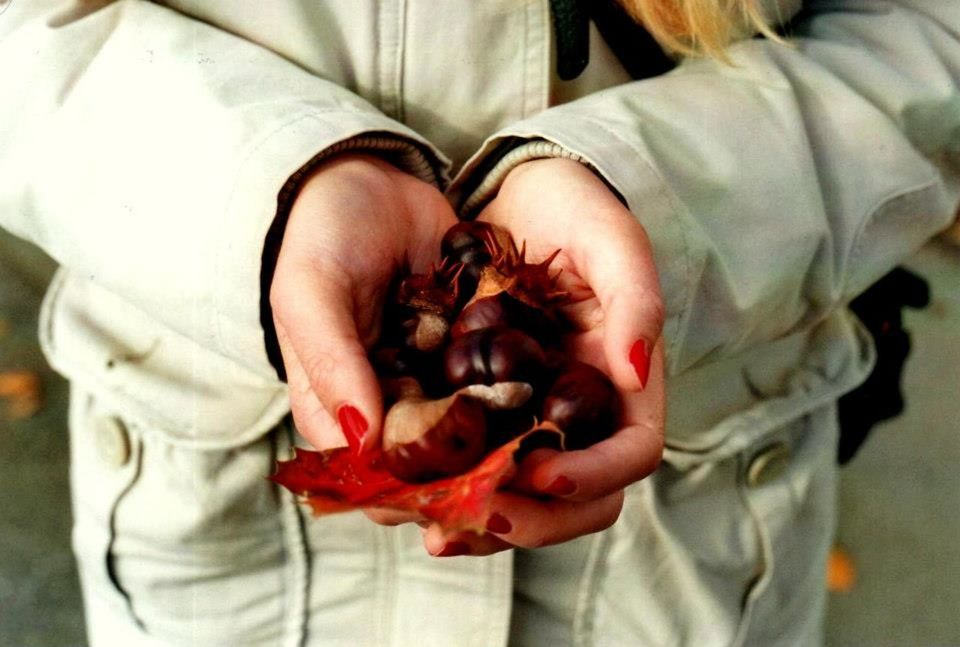 Close-up of hands holding dried autumn flowers