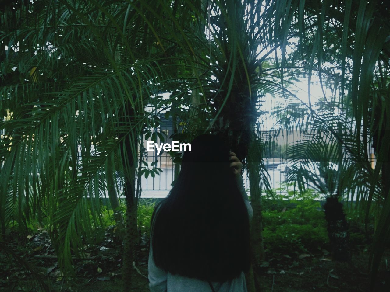 YOUNG WOMAN STANDING ON TREE TRUNK