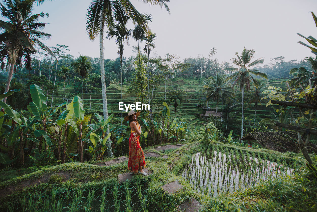 Young woman at rice terrace