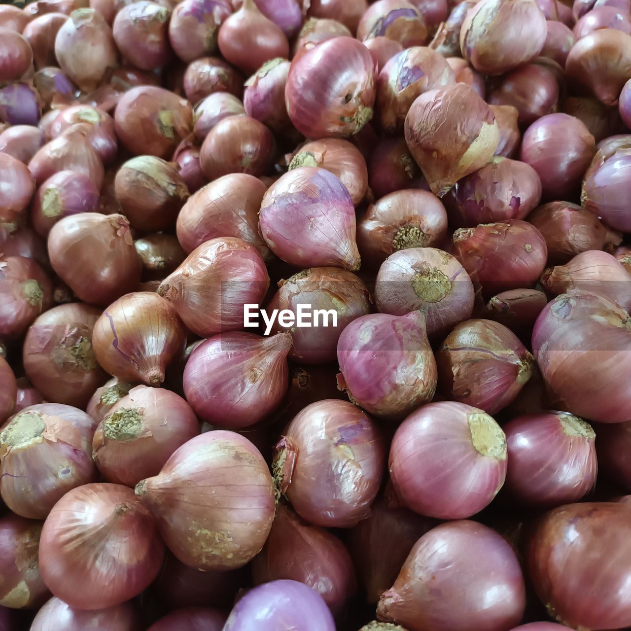 shallot, red onion, food and drink, food, onion, freshness, vegetable, wellbeing, plant, large group of objects, healthy eating, produce, abundance, full frame, backgrounds, no people, still life, market, close-up, for sale, garlic, raw food, ingredient, retail, high angle view, day, market stall, pink, organic, indoors, directly above, spice