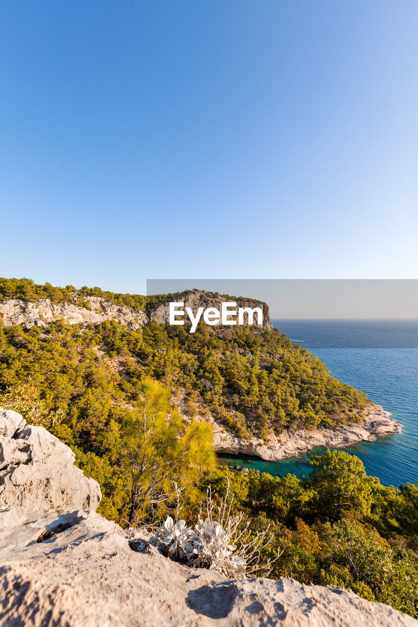 Big rock with forest and azure sea in summer