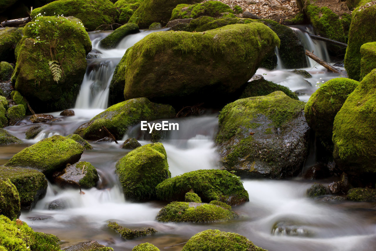 Scenic view of waterfall