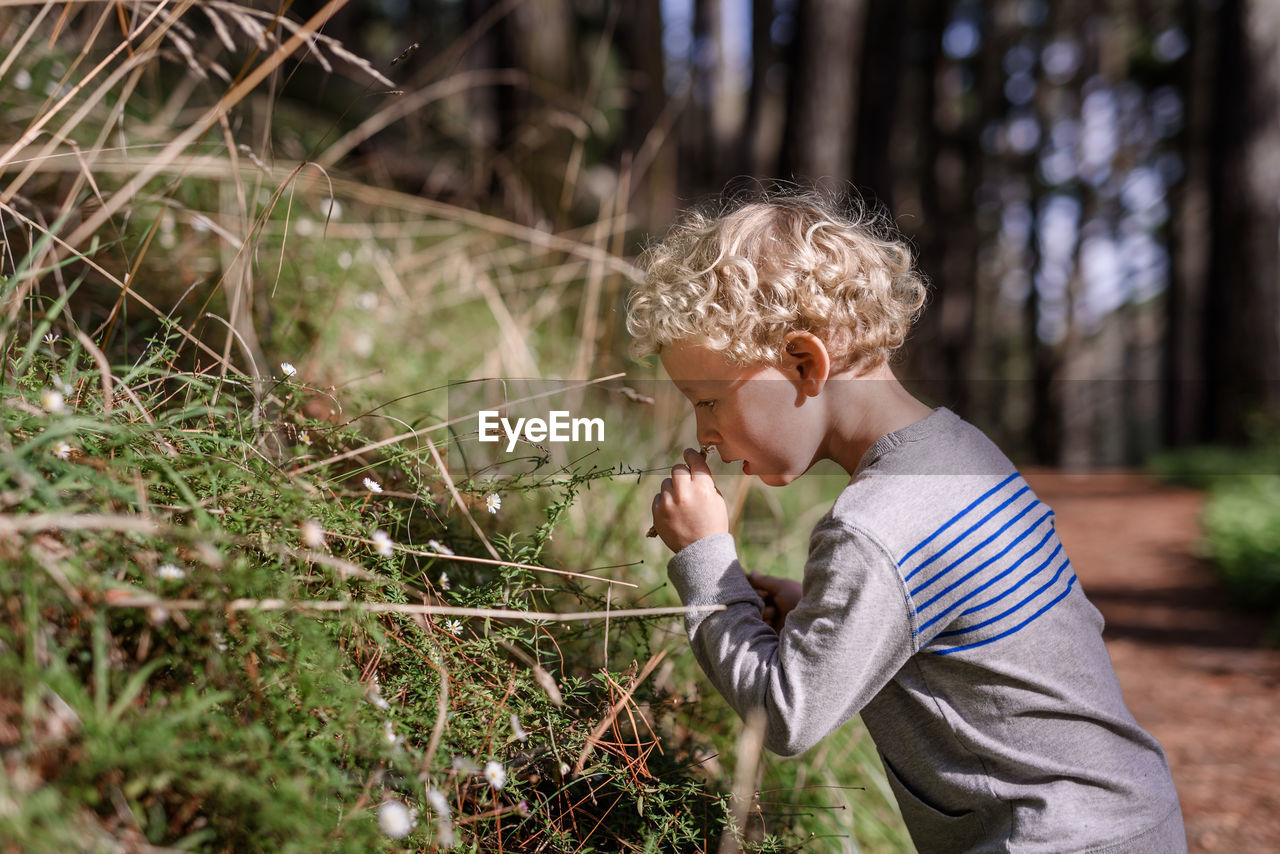 Curly haired boy smelling flowers in forest