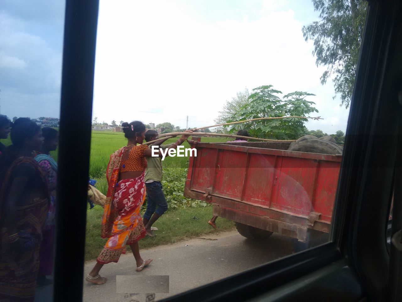 SIDE VIEW OF A BOY LOOKING THROUGH TREES