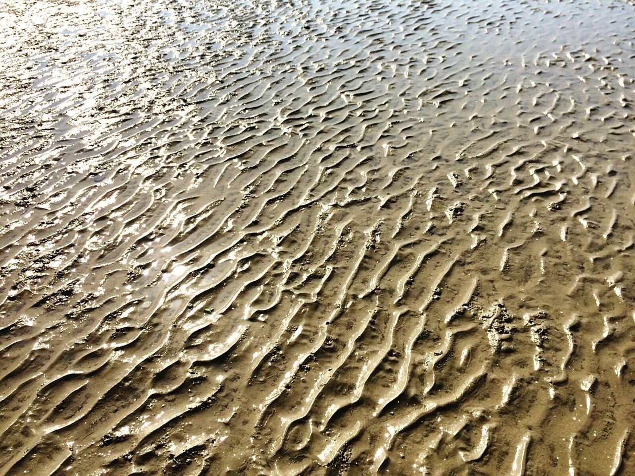 Full frame shot of wet patterned sand at beach on sunny day