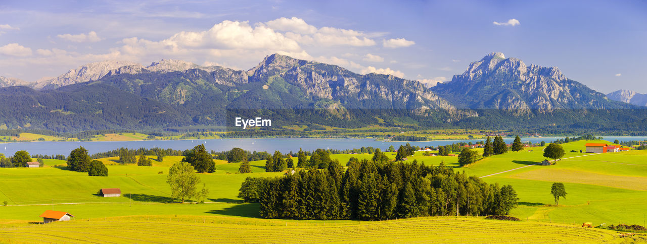 Panoramic landscape in bavaria nearby lake forggensee in allgäu