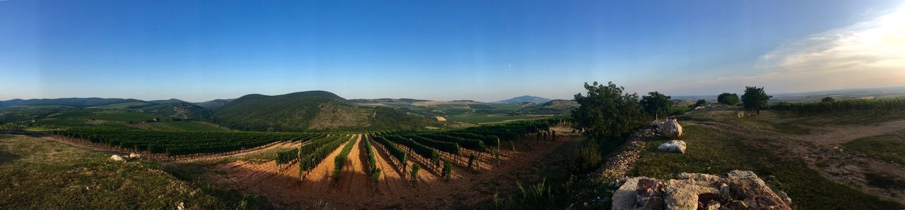 PANORAMIC SHOT OF LANDSCAPE AGAINST SKY