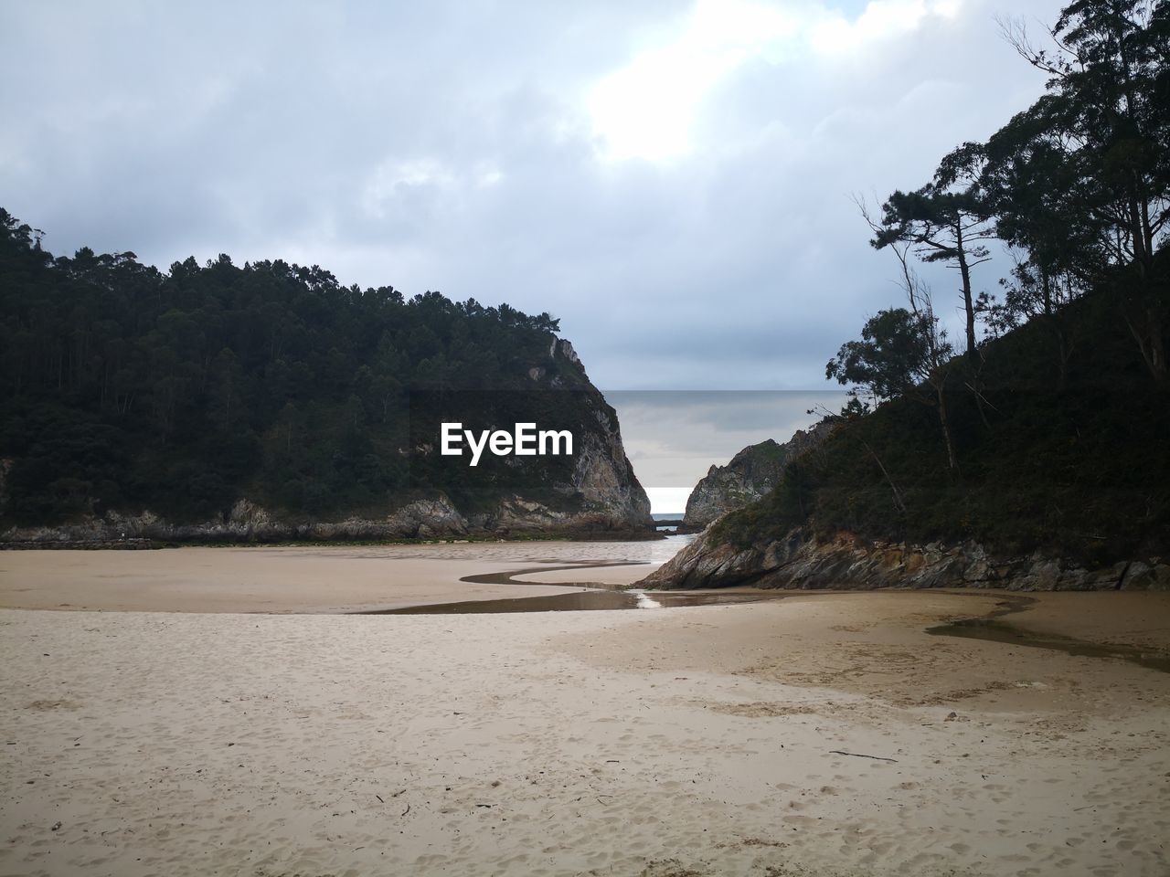 SCENIC VIEW OF BEACH