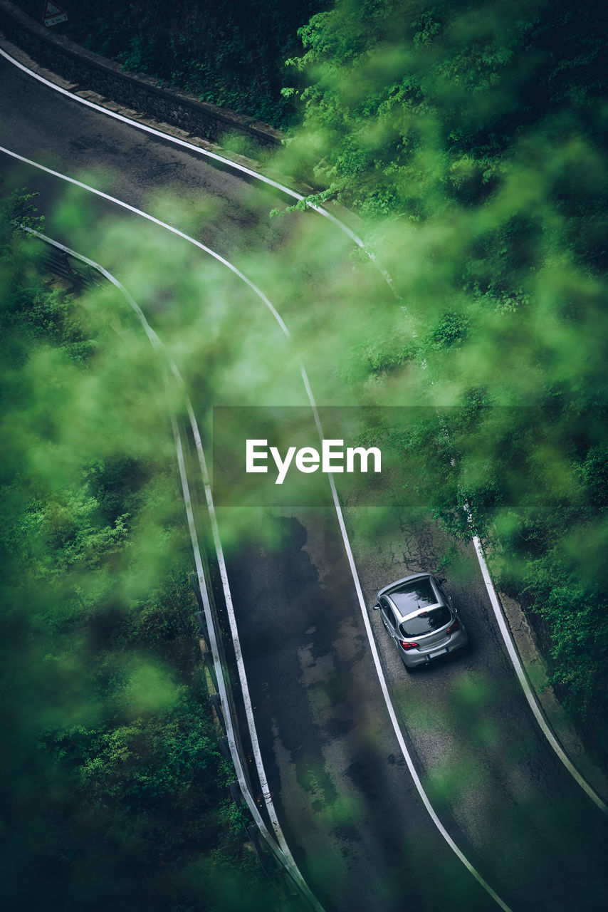 HIGH ANGLE VIEW OF CAR ON ROAD BY TREES