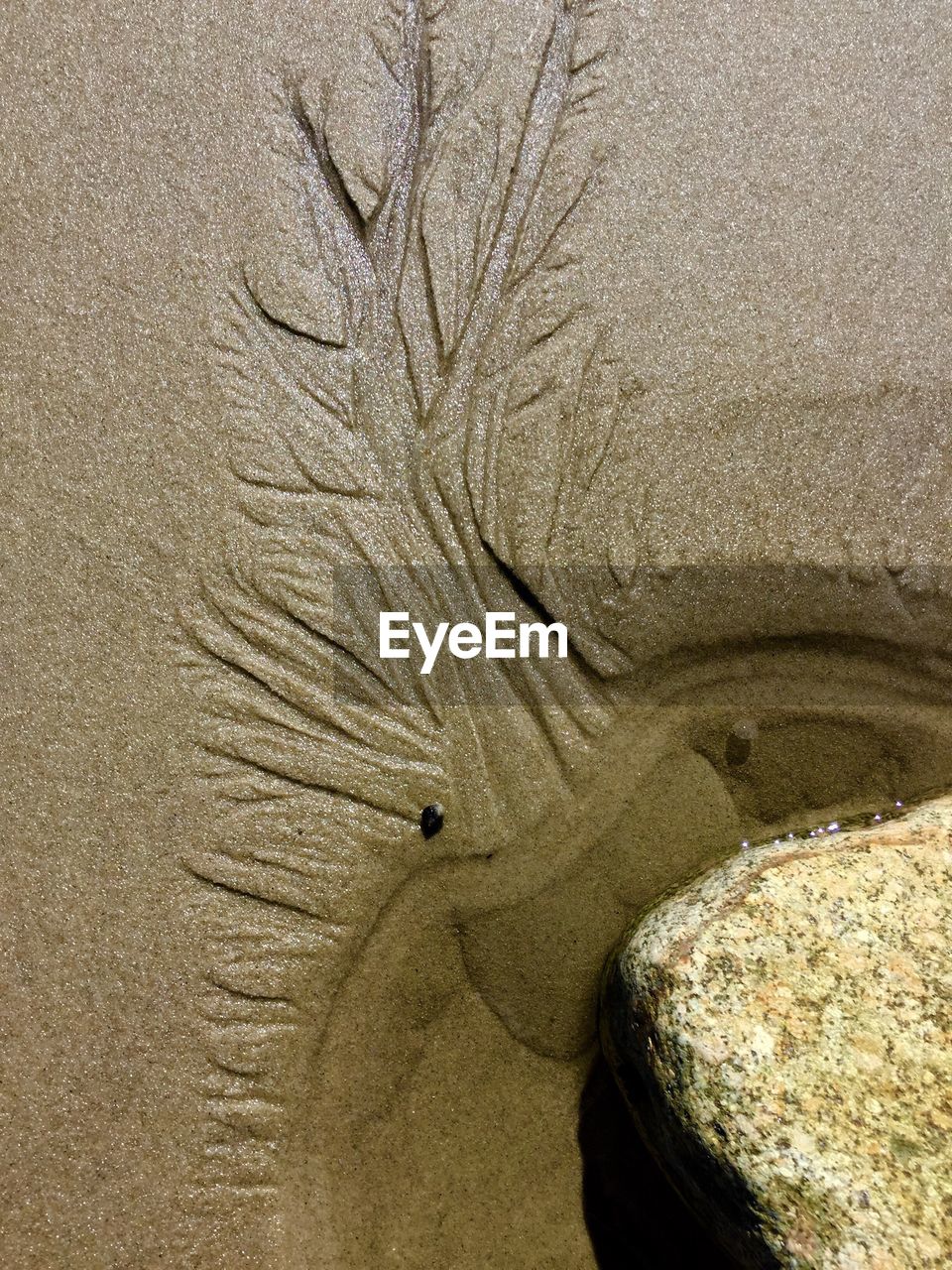 High angle view of wet sandy beach