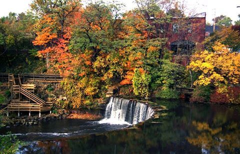 VIEW OF WATERFALL IN PARK