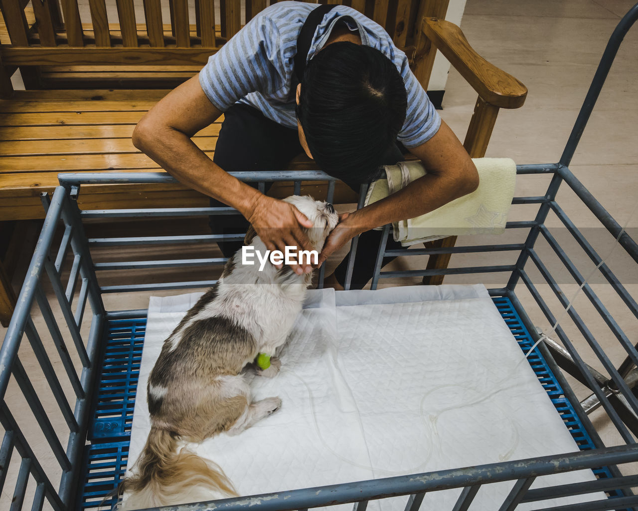 High angle view of man playing with dog in hospital