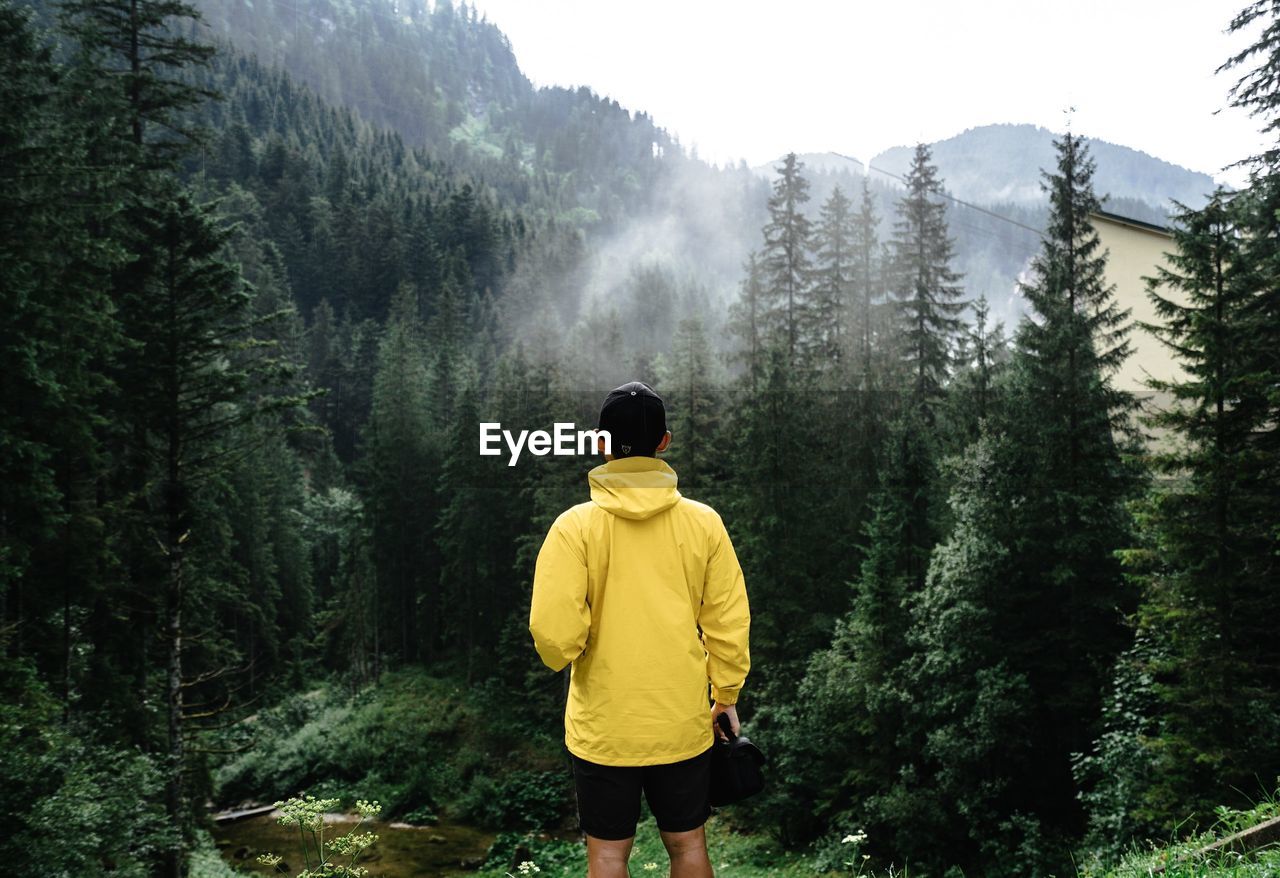 Rear view of man standing against trees in forest