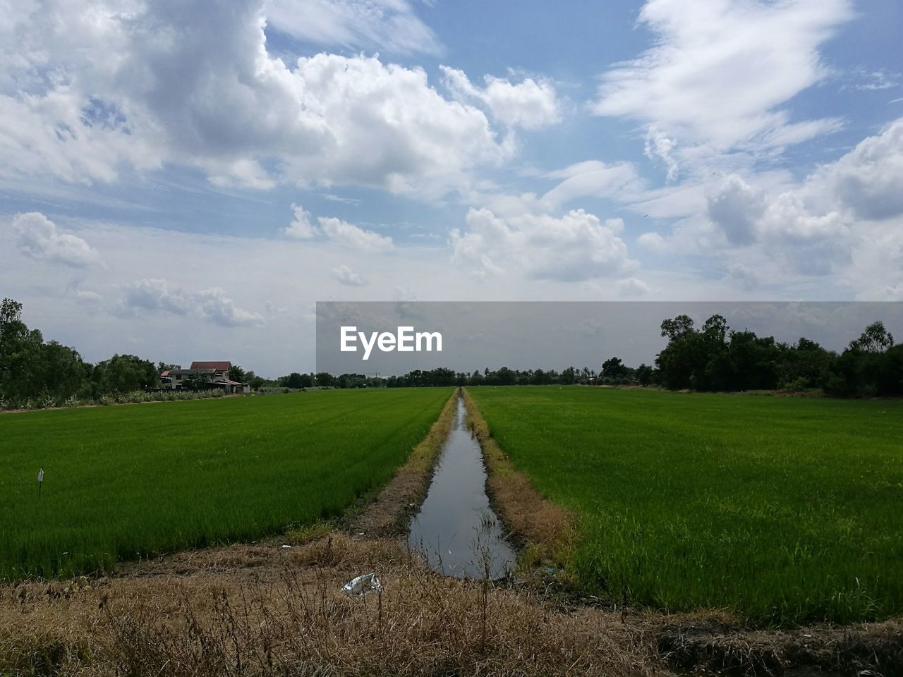 Stream amidst farm against cloudy sky