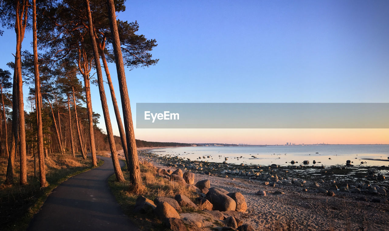 scenic view of beach against clear sky