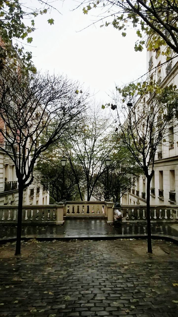 BUILT STRUCTURE WITH TREES IN FOREGROUND