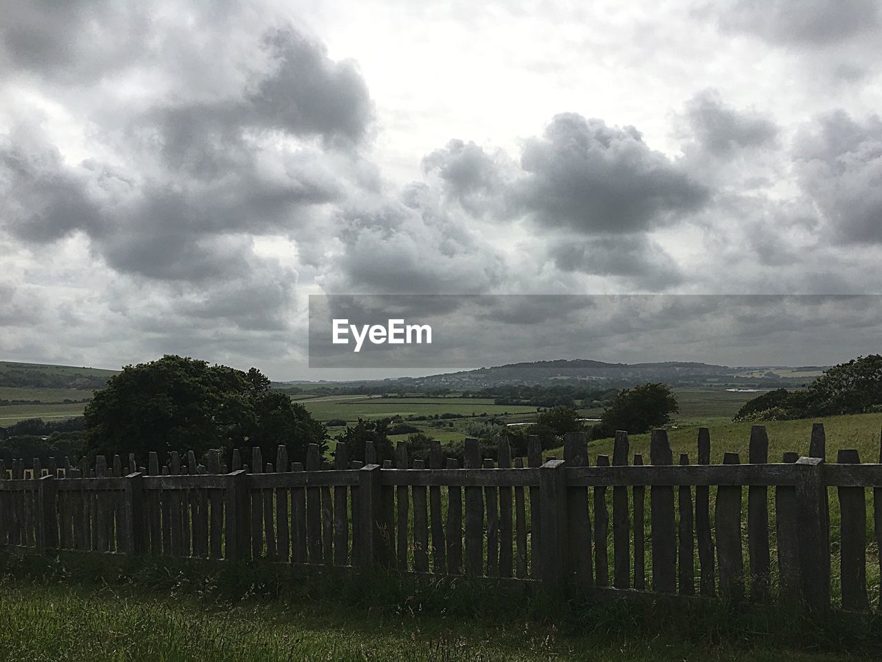 SCENIC VIEW OF FIELD BY TREES AGAINST SKY