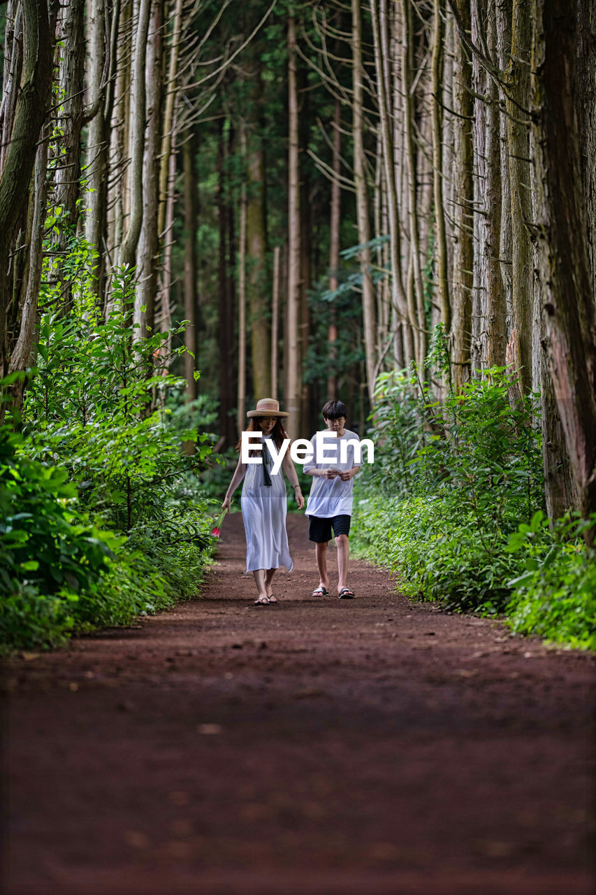 Rear view of women walking in forest