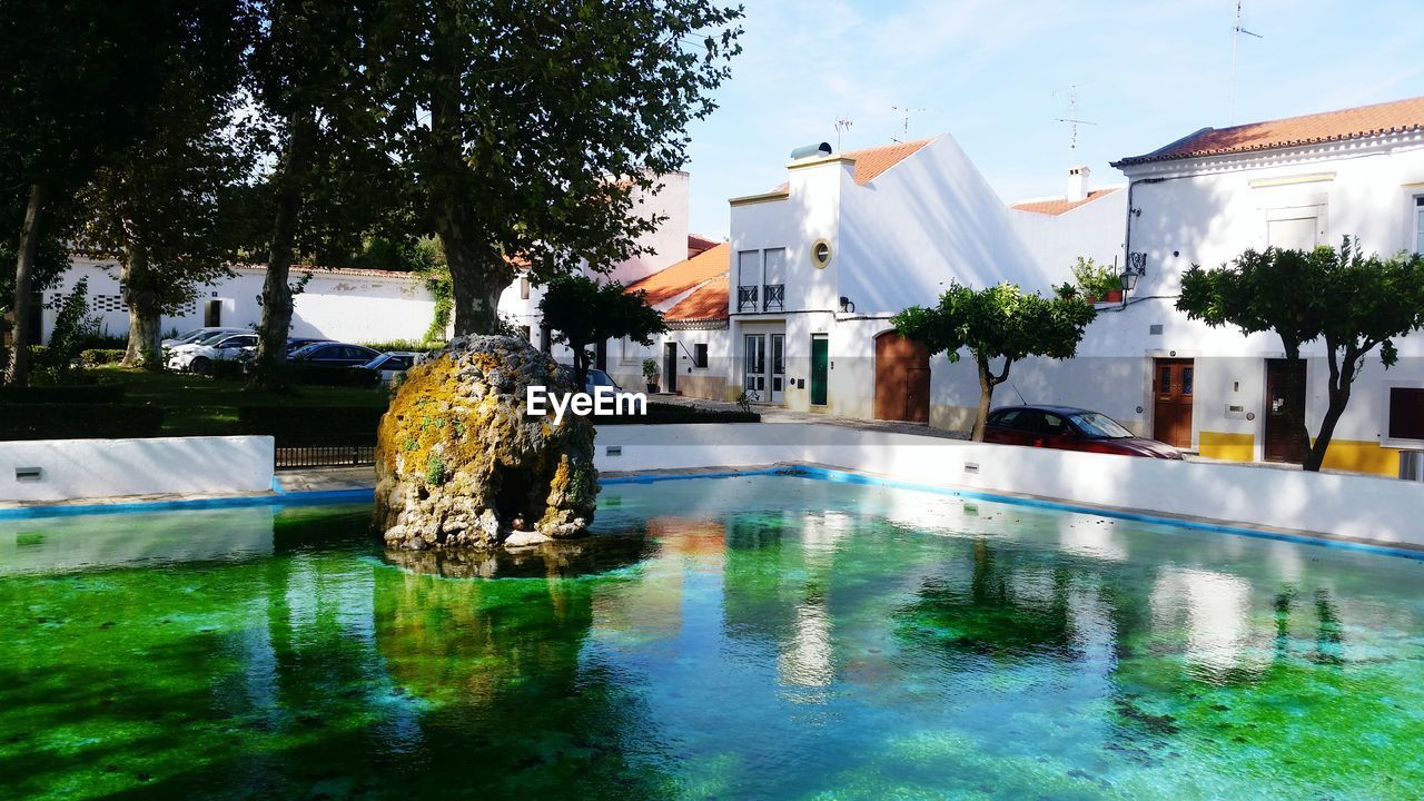 SWIMMING POOL AGAINST TREES