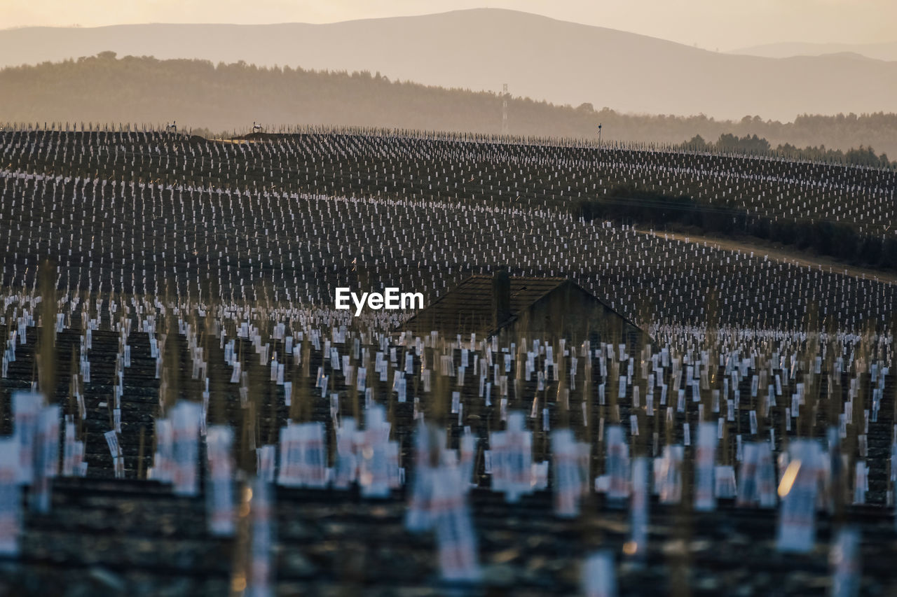 Surface level image of landscape against mountains during sunset