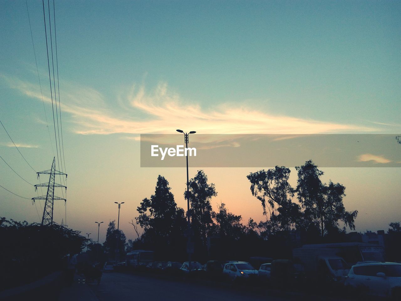 TREES AGAINST SKY AT SUNSET