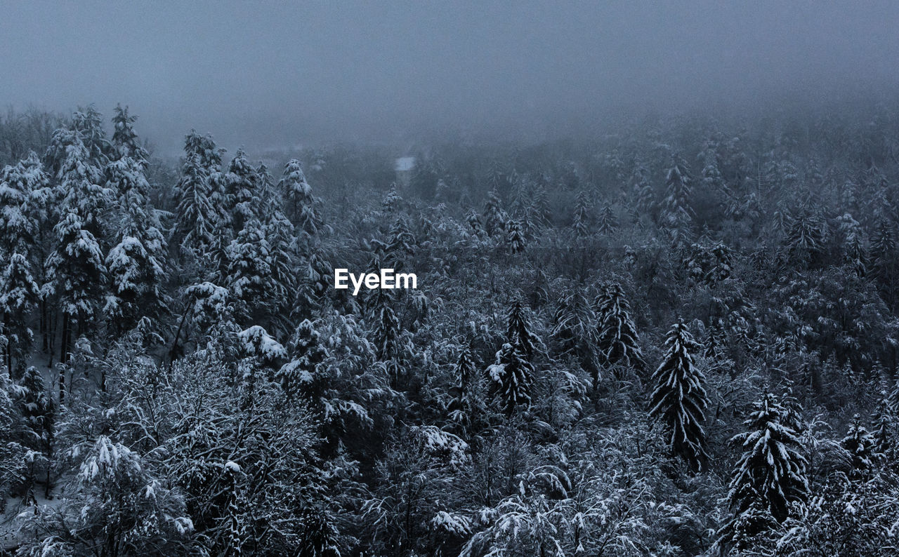 SCENIC VIEW OF LAND DURING WINTER