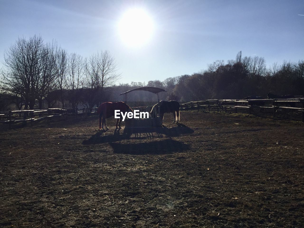 HORSE CART ON GROUND