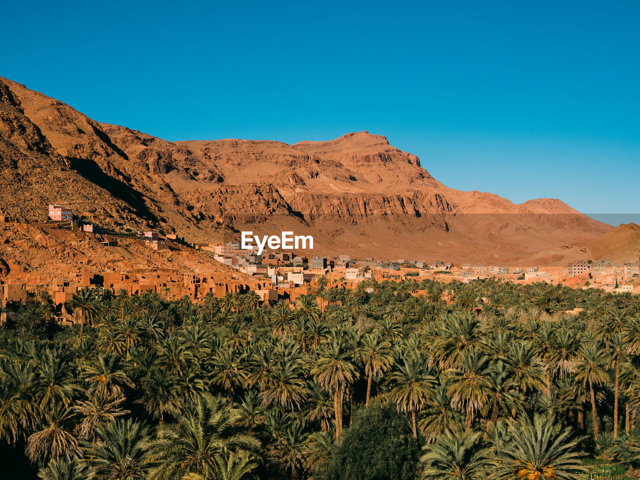 An arabic village in the mountains with a sea of palm trees in front