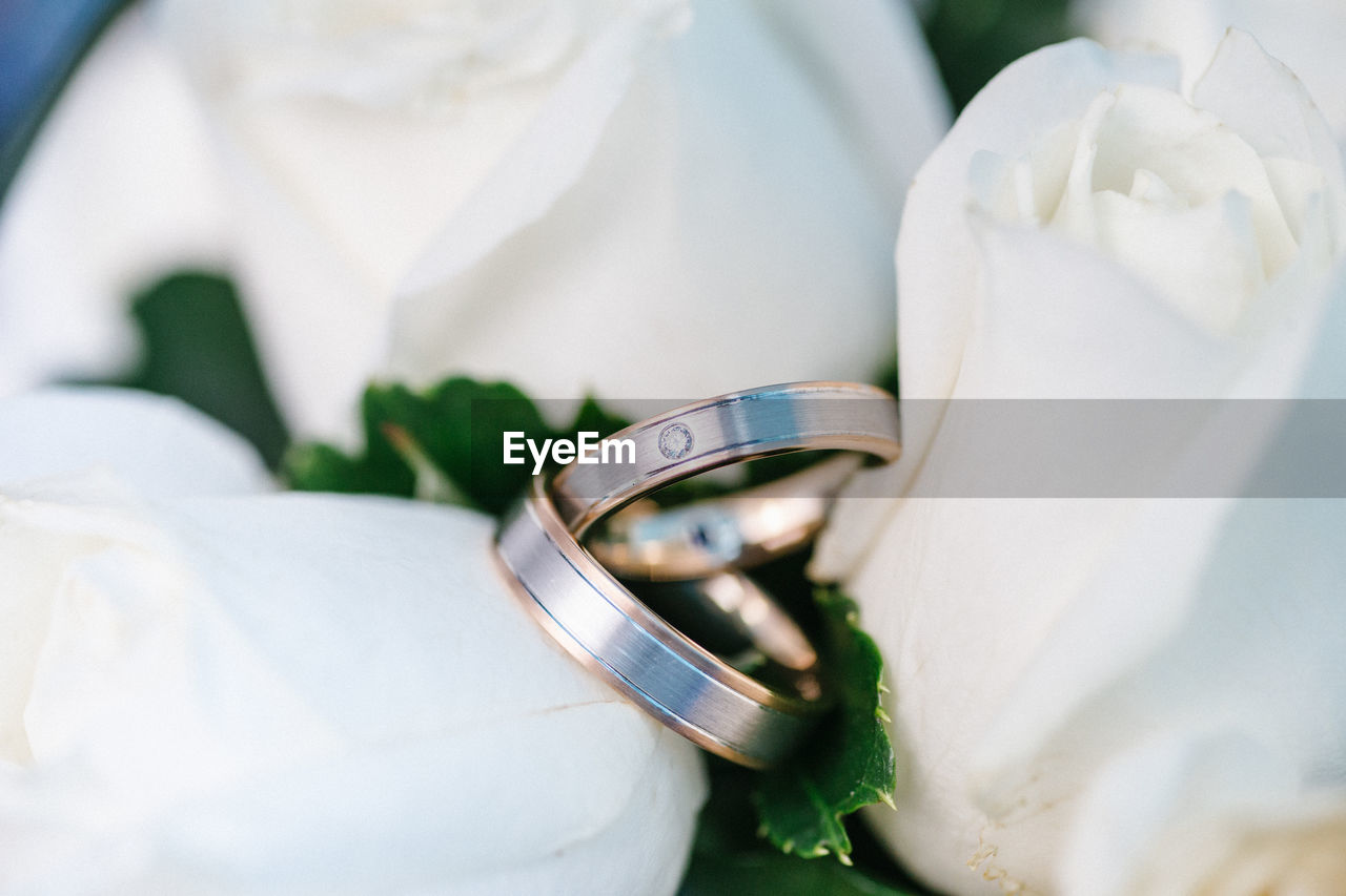 Close-up of wedding rings amidst roses