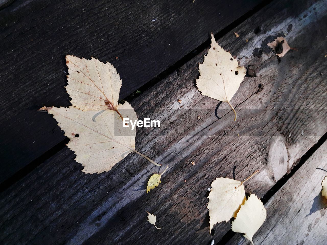 FULL FRAME SHOT OF WOODEN WOOD