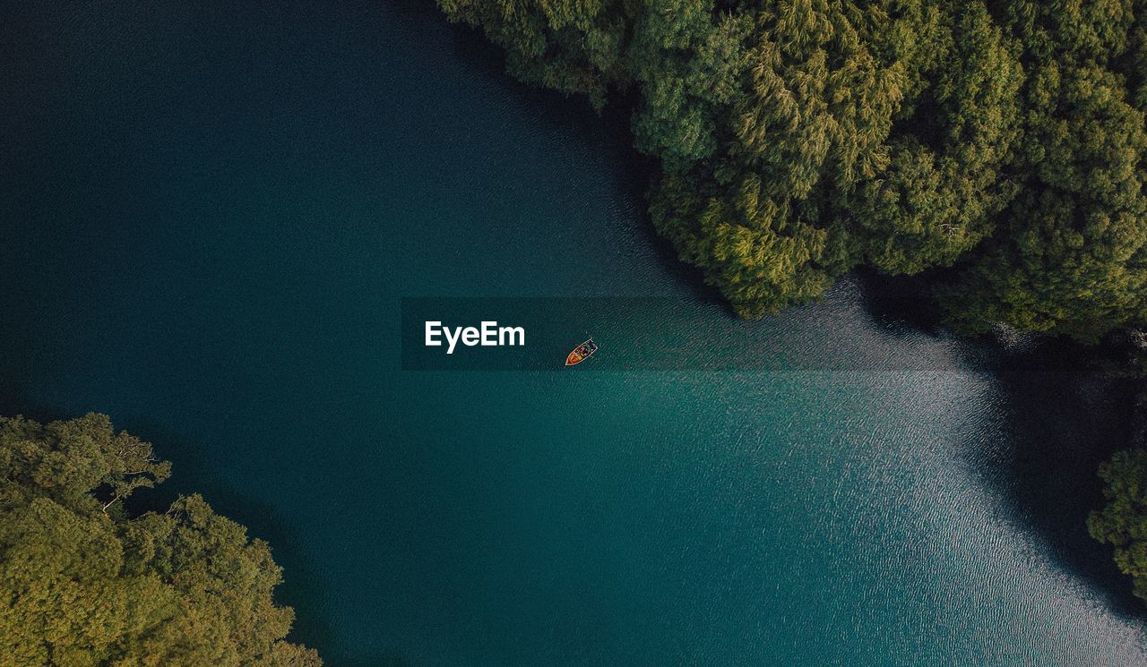 High angle view of boat in sea amidst trees in forest