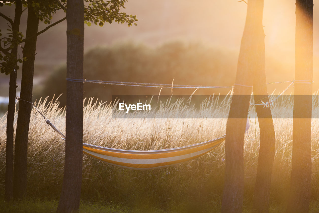 Hammock amidst trees in field during sunset