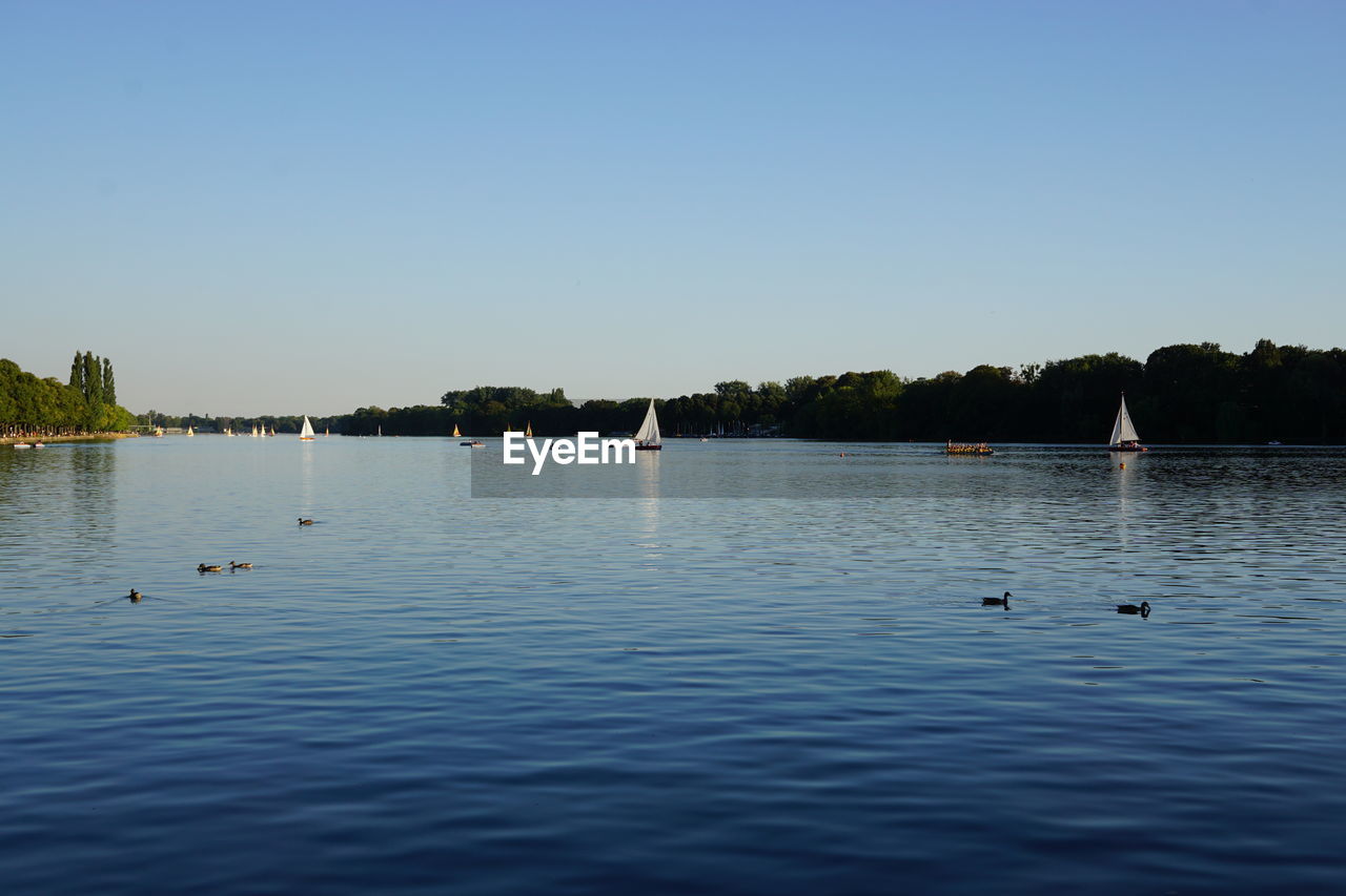 Scenic view of maschsee lake against clear sky