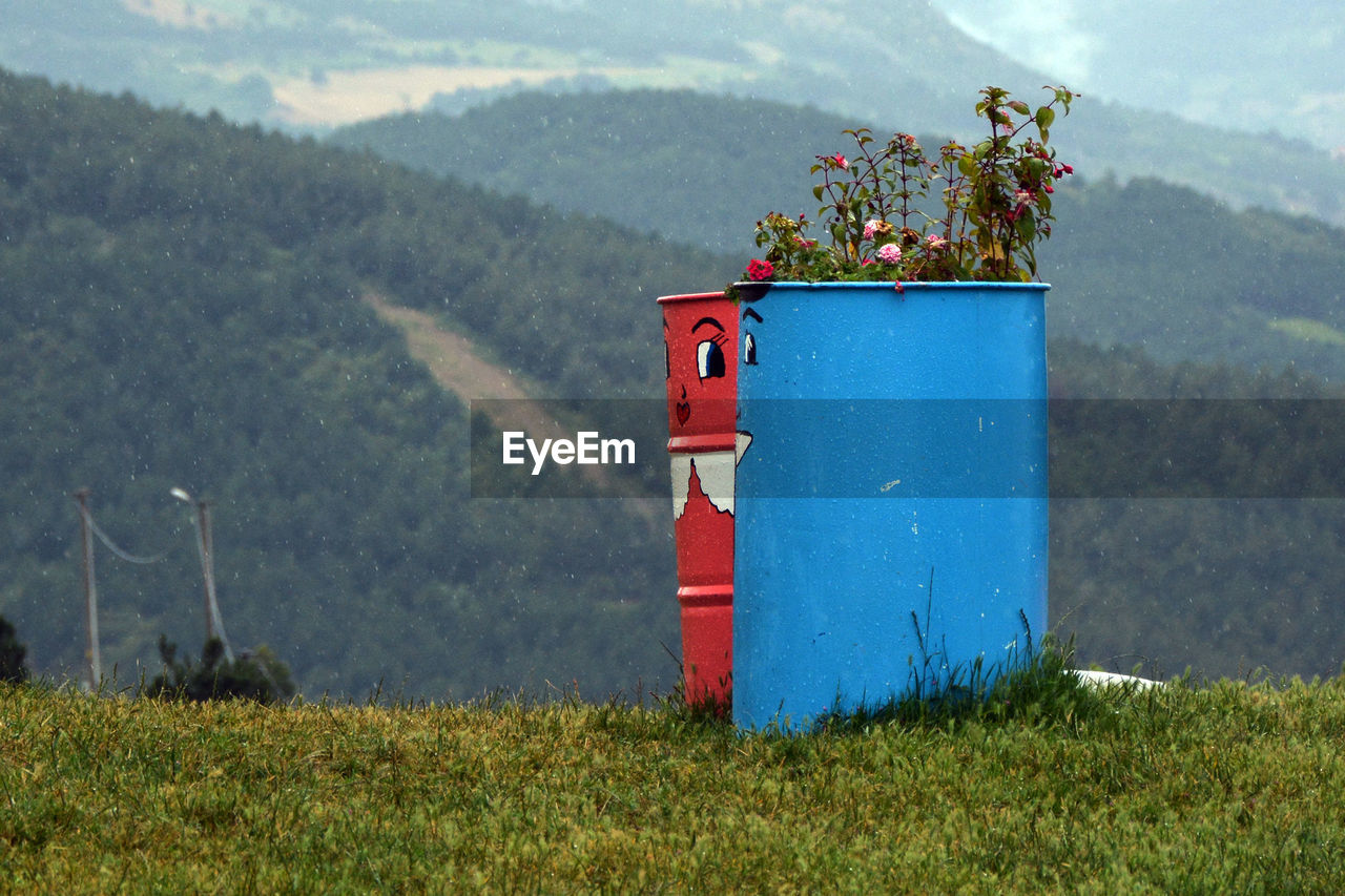 SCENIC VIEW OF GRASSY FIELD