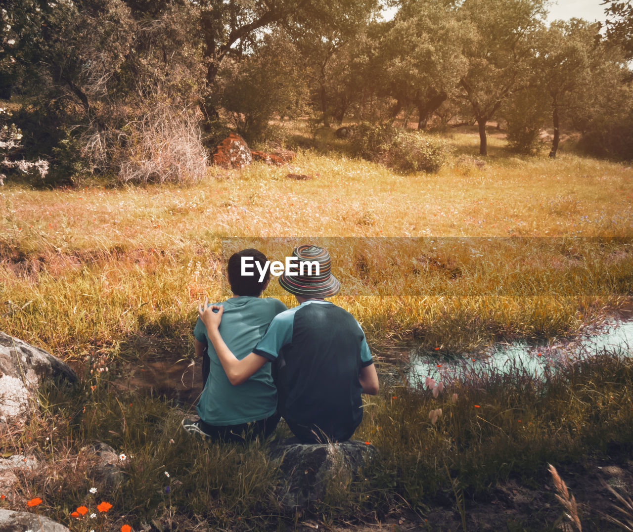 Rear view of friends sitting on field