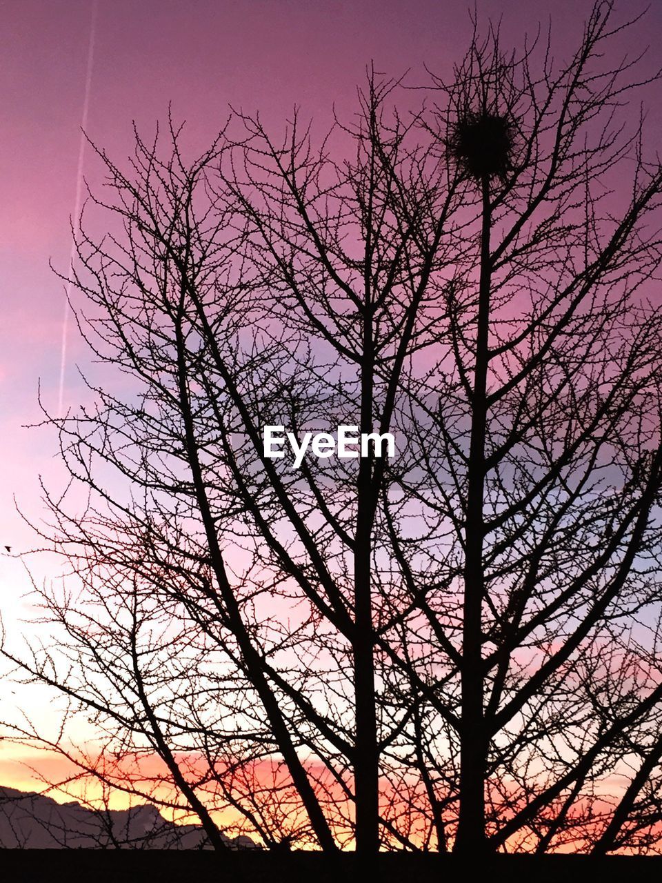 Low angle view of bare trees against dramatic sky during sunset