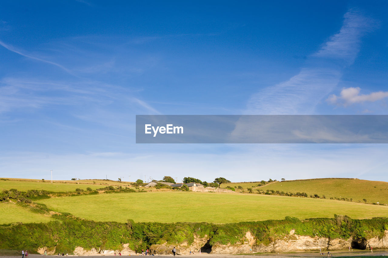 Scenic view of agricultural field against blue sky