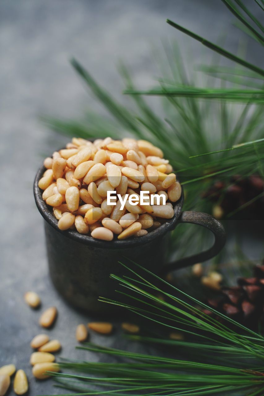 HIGH ANGLE VIEW OF CORN ON TABLE