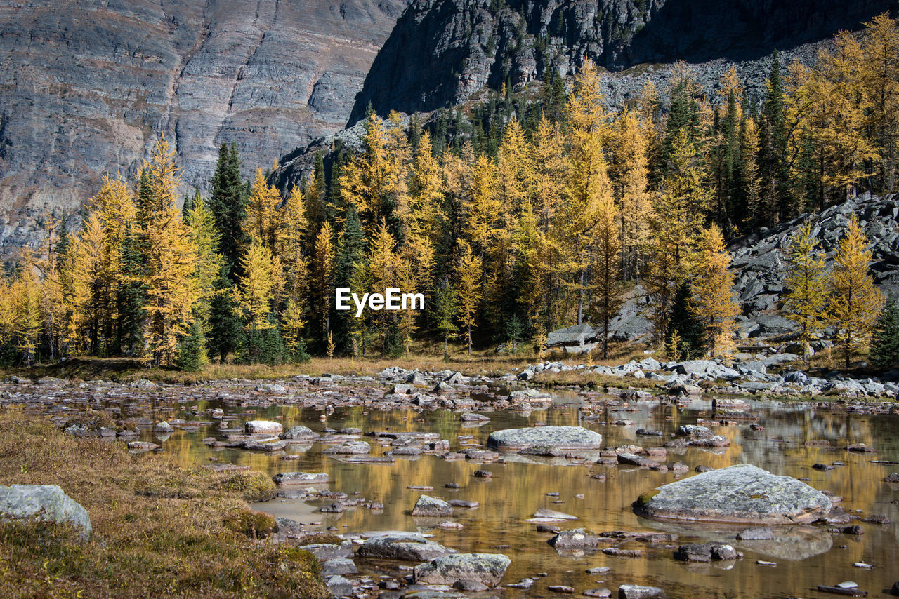 SCENIC VIEW OF LAKE