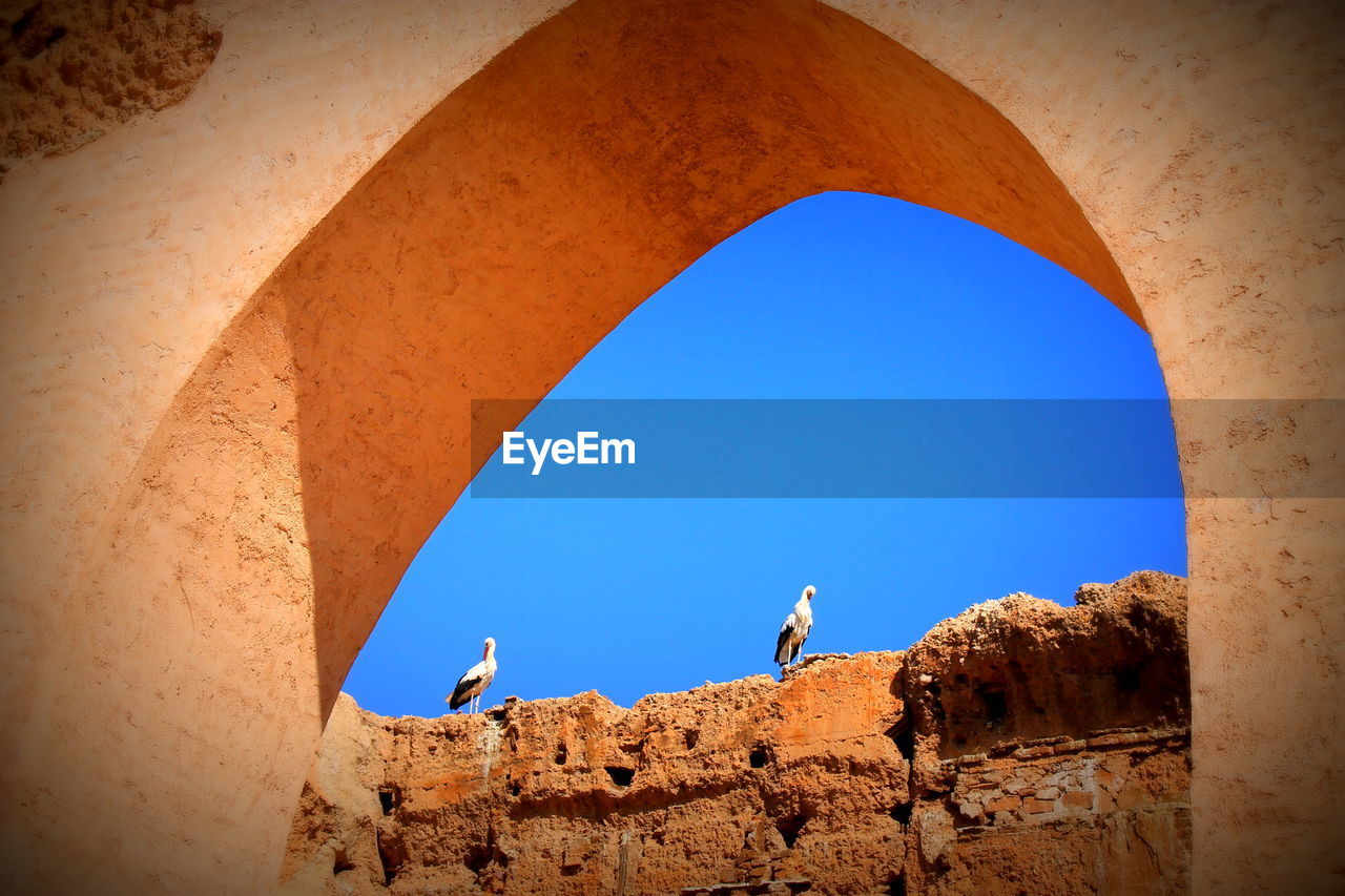Birds perching on retaining wall seen through arch against sky