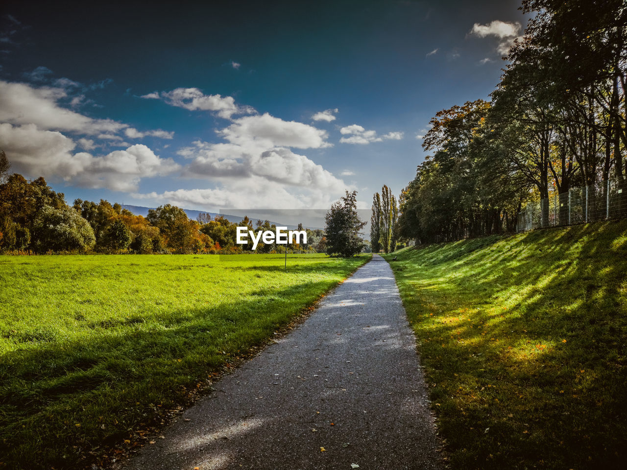 Empty road along trees and plants against sky